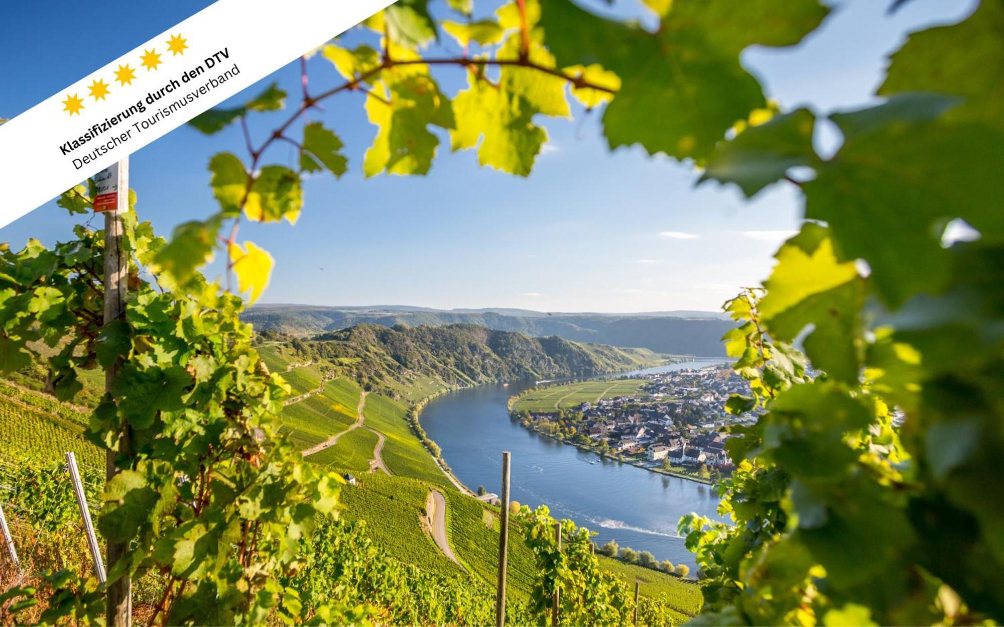 Osann-Monzel Wohlfuehloase An Der Mosel 아파트 외부 사진